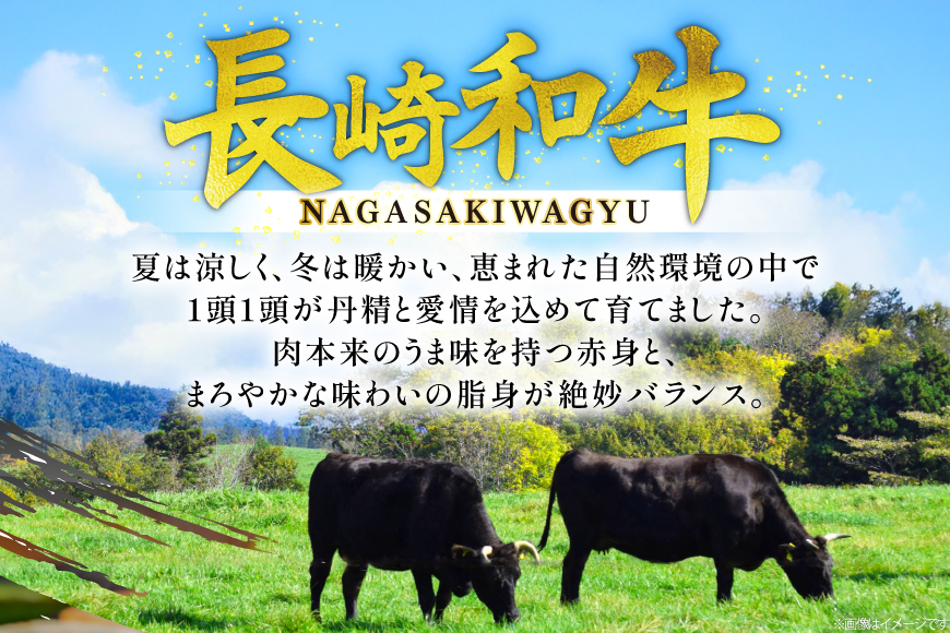 牛肉 和牛 長崎和牛 焼肉 赤身 500g 焼き肉 やきにく [彼杵の荘 長崎県 東彼杵町 hs42bag270047] 赤身 赤身肉 赤み あかみ 肉 お肉 牛肉 国産 和牛 黒毛和牛 冷凍 BBQ 鉄板焼