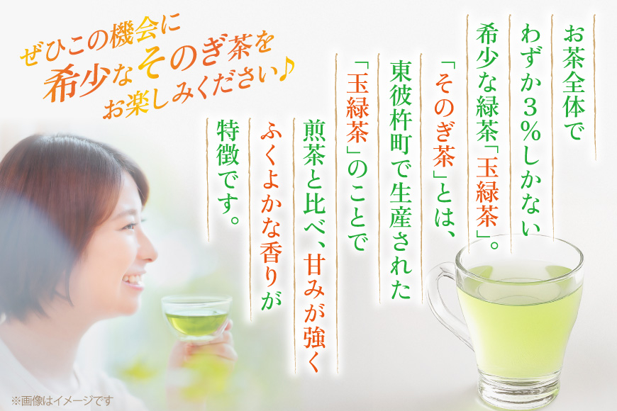 茶 お茶 緑茶 長崎 そのぎ茶 定期便 毎月 彼杵茶 玉緑茶 アルミボトル 490ml 24本 3回 総計72本 [彼杵の荘 長崎県 東彼杵町 hs42bag270048] 月に1回 ペットボトル 約 300ml 300