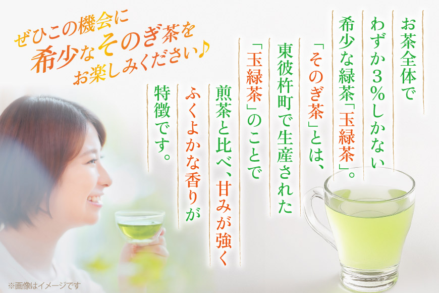 茶 お茶 緑茶 長崎 そのぎ茶 定期便 毎月 彼杵茶 玉緑茶 アルミボトル 490ml 24本 3回 総計72本 [彼杵の荘 長崎県 東彼杵町 hs42bag270049] 月に1回 ペットボトル 約 500ml 500