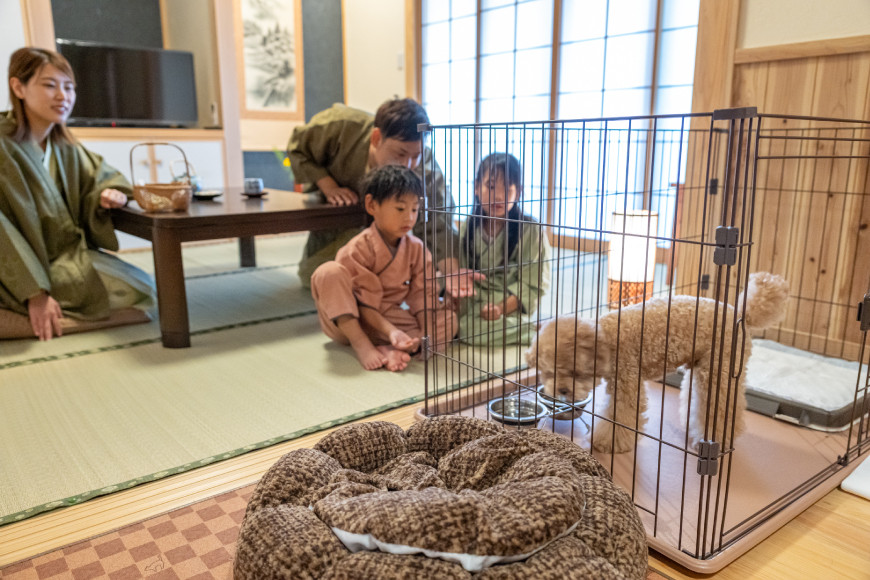 宿泊券 温泉 源泉かけ流し露天風呂付:スタンダード離れ和洋室 ペット同伴 宿泊プラン 1泊2食付き ペア宿泊券 [そのぎ茶温泉 長崎県 東彼杵町 hs42bag280004] 旅行 観光 旅館