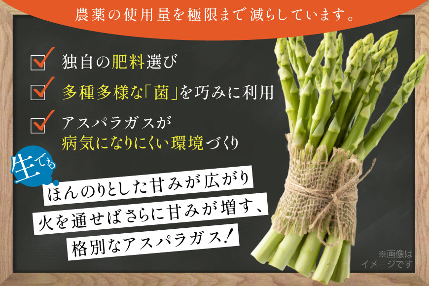 アスパラ アスパラガス 春芽アスパラガス 3kg M L サイズ混合 [はゆっちFARM 長崎県 東彼杵町 hs42bag360016] アスパラ あすぱら 新鮮 春