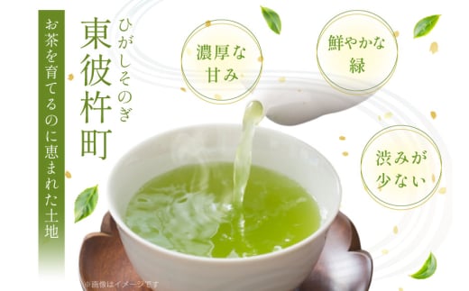 お茶 長崎 そのぎ茶 希少品種 あさつゆ 80g 2袋 [茶友 長崎県 東彼杵町 hs42bag430000] ちゃ 茶 おちゃ お茶