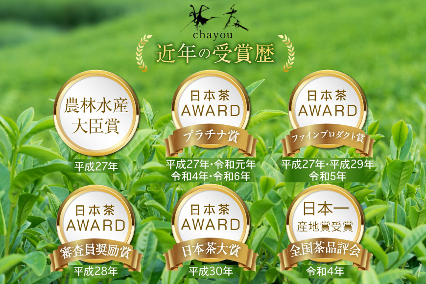 緑茶 長崎 ティーバッグ 緑茶 ティーバッグ 5g 16パック 2袋 [茶友 長崎県 東彼杵町 hs42bag430005] ちゃ 茶 おちゃ お茶 ティーパック