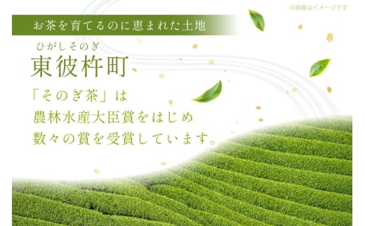 紅茶 長崎 ティーバッグ 和紅茶 ティーバッグ 3g 12パック 2袋 [茶友 長崎県 東彼杵町 hs42bag430006] ちゃ 茶 おちゃ お茶 ティーパック