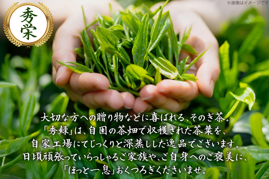 お茶 緑茶 秀栄 90g 2袋 [西坂秀徳製茶 長崎県 東彼杵町 hs42bag510015] 国産 長崎県産 東彼杵 茶葉 ティーパック ミル芽 若芽