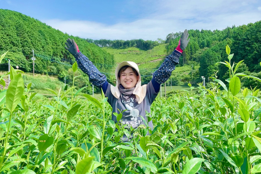 お茶 緑茶 そのぎ茶3種セット 各100g [そのぎ茶深緑の里 長崎県 東彼杵町 hs42bag570001] お茶 茶葉 緑茶 日本茶 茶 さえみどり やぶきた はるみどり そのぎ茶