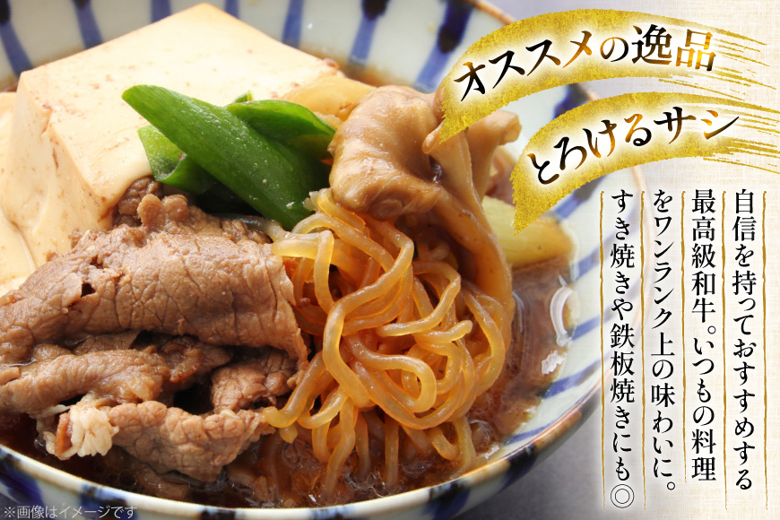 和牛 切り落とし 霜降り肉 定期便 長崎和牛 切り落し 500g 12回 総計6kg [大川ストアー 長崎県 東彼杵町 hs42bag580074] 赤身 すき焼き 肉 しゃぶしゃぶ 牛肉