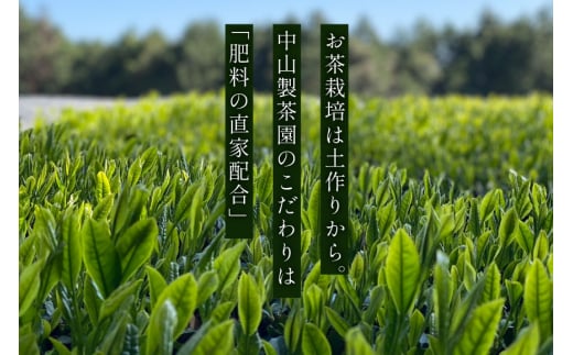 お茶 緑茶 ［第73回全国茶品評会 蒸し製玉緑茶 農林水産大臣賞受賞］そのぎ茶 (特上) 「華の香」100g 3袋入り 総計300g [中山製茶園 長崎県 東彼杵町 hs42bag620000] 茶 ちゃ お茶 おちゃ 緑茶 りょくちゃ 日本茶 茶葉