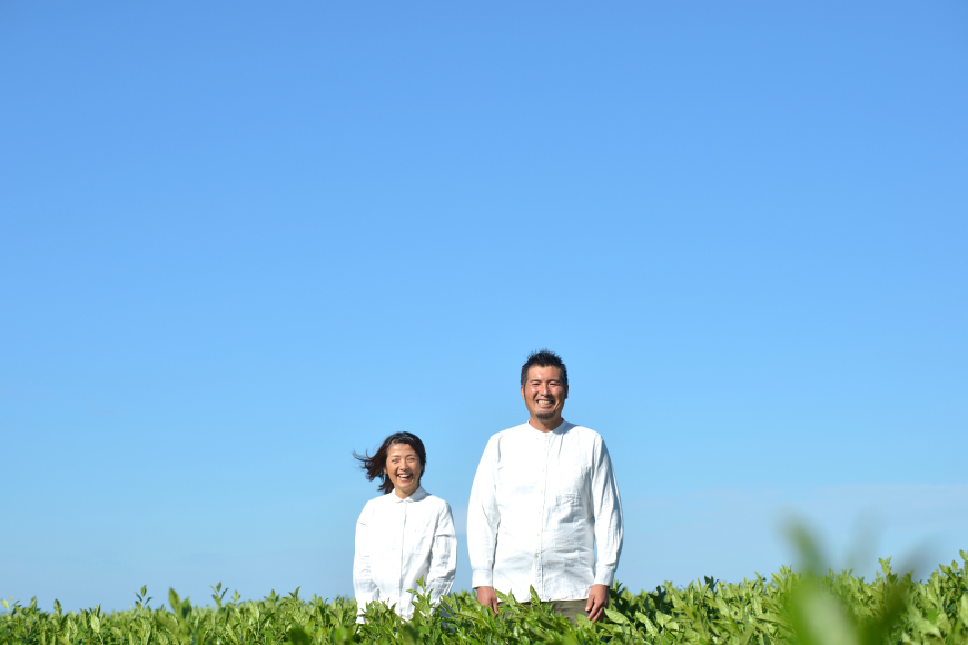 お茶 ティーバック おのうえ自慢のティーバック2種セット [おのうえ茶園 長崎県 東彼杵町 hs42bag740002] そのぎ茶 抹茶 ほうじ茶 紅茶 日本茶 茶 緑茶 そのぎ茶 茶葉 贈答 贈り物