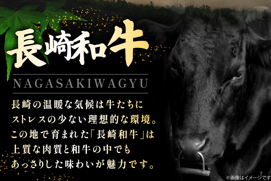 牛肉 和牛 定期便 長崎和牛 ヒレステーキ 約150g 3枚 10回 総計4.5kg [黒牛 長崎県 東彼杵町 hs42bag750092] ヒレ肉 ヒレ ステーキ 赤身 希少部位