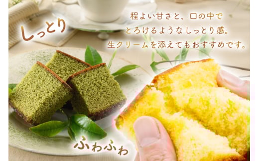 カステラ 訳あり 切り落とし 幸せのカステラ 0.6号 310g 2種 プレーン 抹茶 各1本 カステラ 切り落とし 1パック 250g 計870g [長崎カステラセンター心泉堂 長崎県 東彼杵町 hs42bag180036] 和菓子 かすてら 長崎 お菓子 おやつ