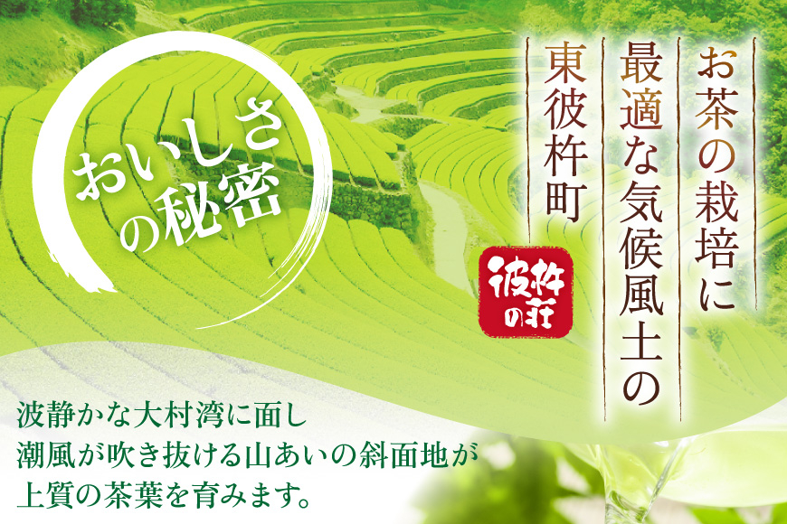 茶 お茶 緑茶 長崎 そのぎ茶 定期便 毎月 彼杵茶 玉緑茶 アルミボトル 490ml 24本 3回 総計72本 [彼杵の荘 長崎県 東彼杵町 hs42bag270048] 月に1回 ペットボトル 約 300ml 300