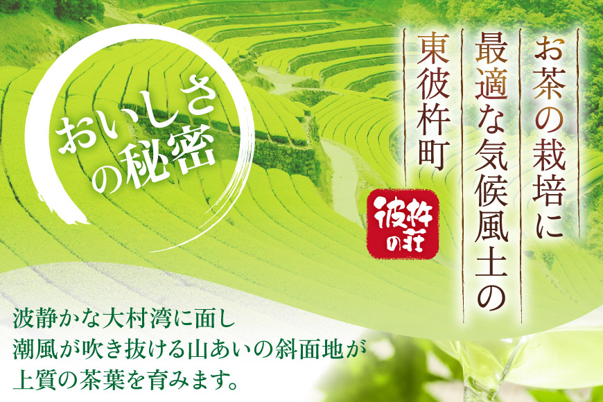 茶 お茶 緑茶 長崎 そのぎ茶 定期便 毎月 彼杵茶 玉緑茶 アルミボトル 490ml 24本 3回 総計72本 [彼杵の荘 長崎県 東彼杵町 hs42bag270049] 月に1回 ペットボトル 約 500ml 500