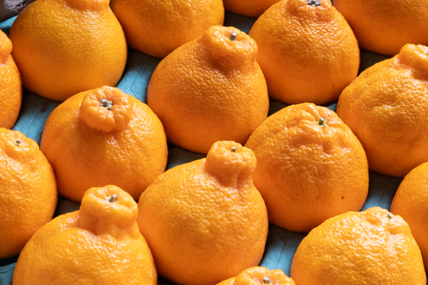 【期間限定発送】【先行予約100個限定】 みかん 山田さんちのハウス不知火(しらぬい) 約5kg [長崎県 東彼杵町 hs42bag330002] 果物 柑橘 国産 長崎産 東彼杵 数量限定