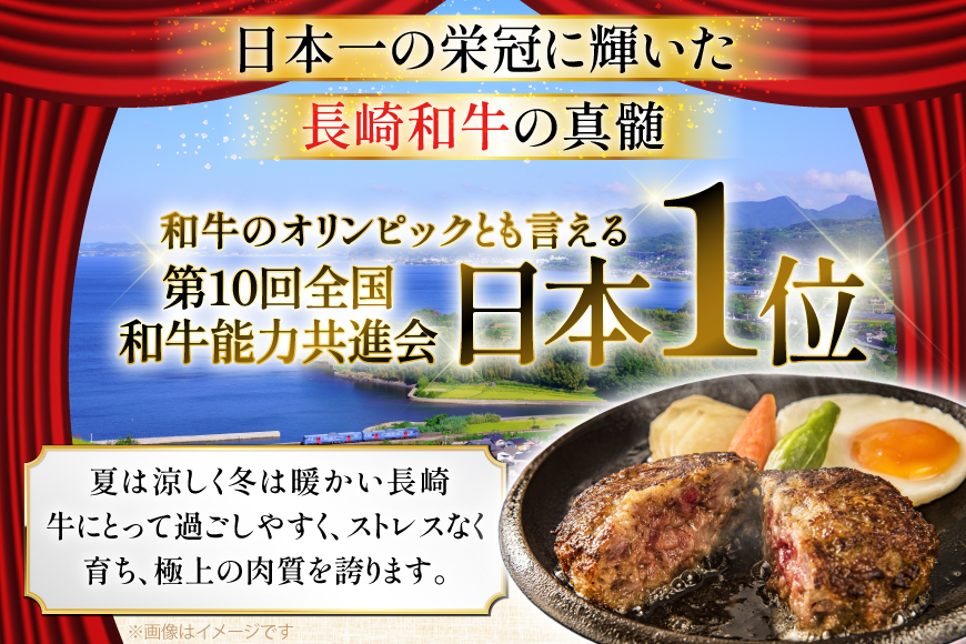 ハンバーグ 冷凍 長崎和牛 手作り ハンバーグ 80g 10個 計800g [大川ストアー 長崎県 東彼杵町 hs42bag580001] はんばーぐ ハンバーグ 湯銭