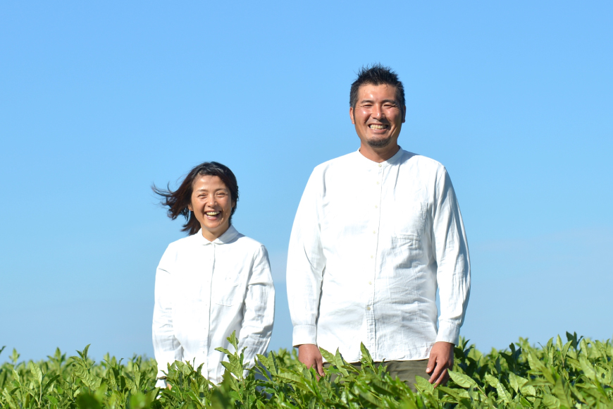 緑茶 日本茶 掬い3袋入り (90g 3袋) [おのうえ茶園 長崎県 東彼杵町 hs42bag740003] お茶 緑茶 日本茶 そのぎ茶 茶葉 国産