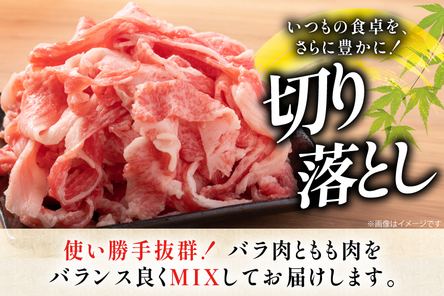 牛肉 和牛 定期便 長崎和牛 切り落とし 700g 12回 総計8.4kg [黒牛 長崎県 東彼杵町 hs42bag750079] 牛肉 バラ モモ もも 切り落とし牛肉 バラ モモ もも 切り落とし