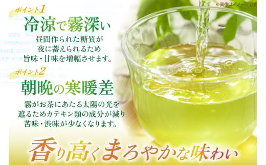 茶 お茶 緑茶 長崎 そのぎ茶 定期便 毎月 彼杵茶 玉緑茶 アルミボトル 490ml 24本 9回 総計216本 [彼杵の荘 長崎県 東彼杵町 hs42bag270023] 月に1回 ペットボトル 約 500ml 500