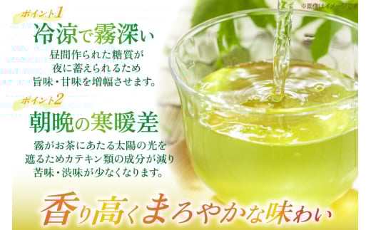 茶 お茶 緑茶 長崎 そのぎ茶 定期便 毎月 彼杵茶 玉緑茶 アルミボトル 290ml 24本 12回 総計288本 [彼杵の荘 長崎県 東彼杵町 hs42bag270042] 月に1回 ペットボトル 約 300ml 300