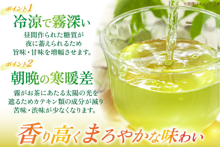 茶 お茶 緑茶 長崎 そのぎ茶 定期便 毎月 彼杵茶 玉緑茶 アルミボトル 490ml 24本 3回 総計72本 [彼杵の荘 長崎県 東彼杵町 hs42bag270048] 月に1回 ペットボトル 約 300ml 300