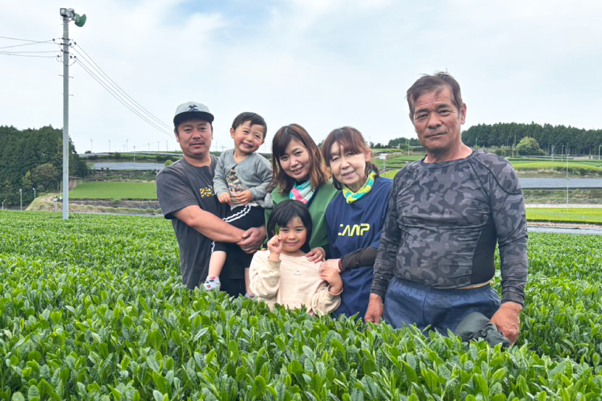 お茶 緑茶 そのぎ茶「特上玉緑茶」90g×3袋入り 総計270g [山口製茶 長崎県 東彼杵町 hs42bag310002] 茶 ちゃ お茶 おちゃ 緑茶 りょくちゃ 日本茶 茶葉
