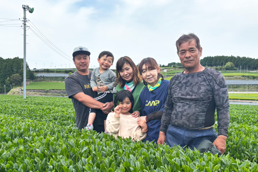 お茶 緑茶 そのぎ茶 (極上) 90g×5袋入り 総計450g [山口製茶 長崎県 東彼杵町 hs42bag310005] 茶 ちゃ お茶 おちゃ 緑茶 りょくちゃ 日本茶