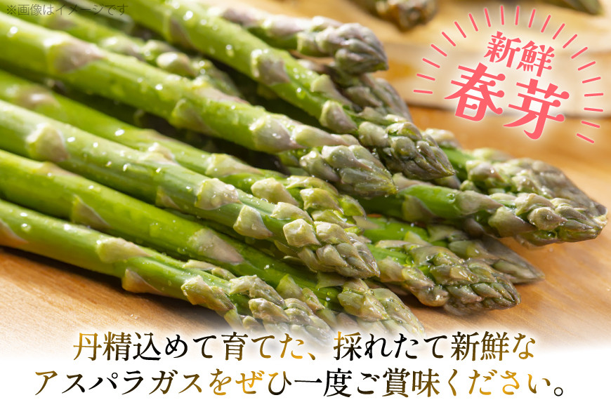 アスパラ アスパラガス 春芽アスパラガス 3kg L サイズ以上 [はゆっちFARM 長崎県 東彼杵町 hs42bag360017] アスパラ あすぱら 新鮮 春