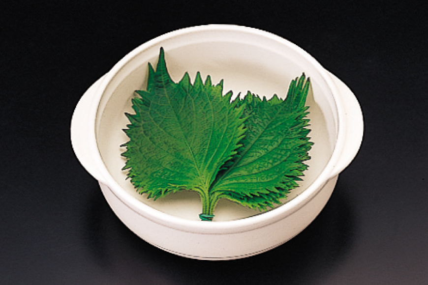 ニューリトルパン【抗菌仕様】 2個セット [トーセラム 長崎県 東彼杵町 hs42bag480025] 耐熱陶器 ストッカー 調理 選べるカラー スタッキング キッチン用品 日本製