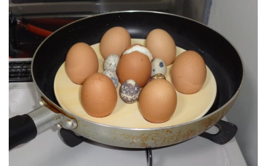 蒸しプレート 約21cm イエロー [トーセラム 長崎県 東彼杵町 hs42bag480035] レンチン 時短 落とし蓋 おとしぶた キッチン用品 日本製