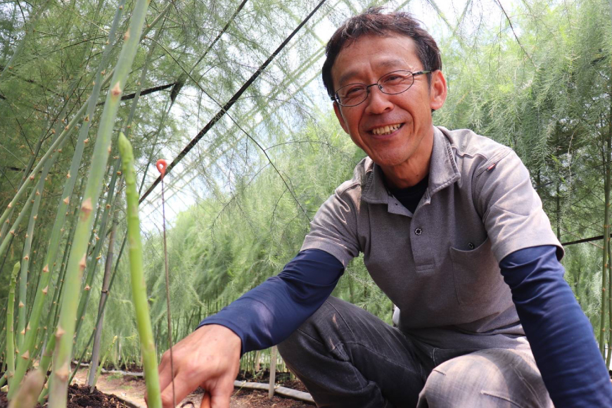 アスパラガス あすぱらがす 【農家直送】夏芽アスパラガス 2kg (M・L混合) [前平農園 長崎県 東彼杵町 hs42bag540004] アスパラガス アスパラ 野菜 やさい 新鮮 夏野菜 あすぱらがす あすぱら