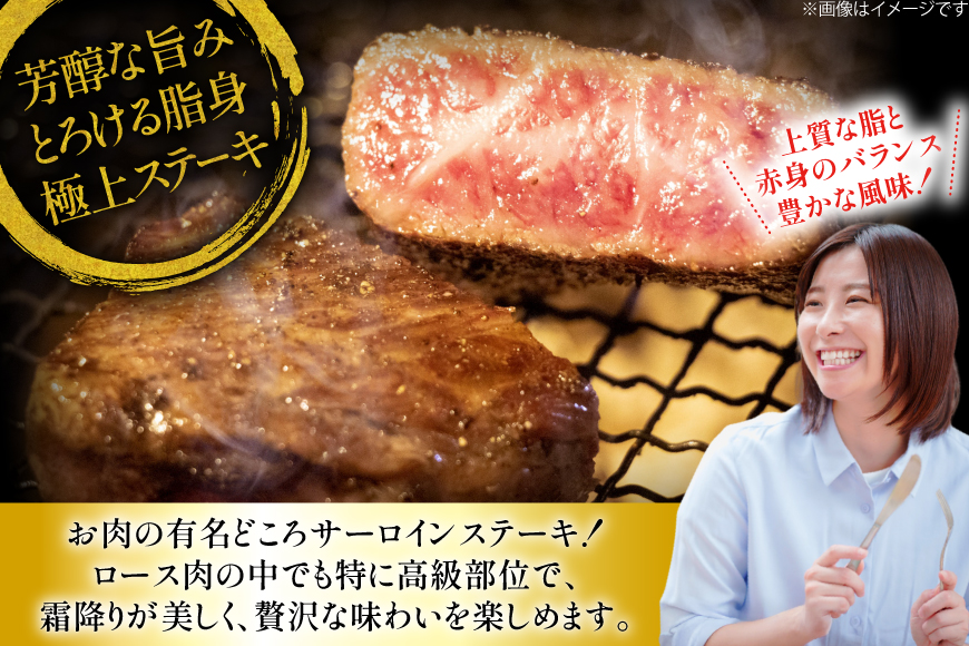 サーロインステーキ 長崎和牛 サーロインステーキ 220g 3枚 計660g [大川ストアー 長崎県 東彼杵町 hs42bag580014] ステーキ サーロイン