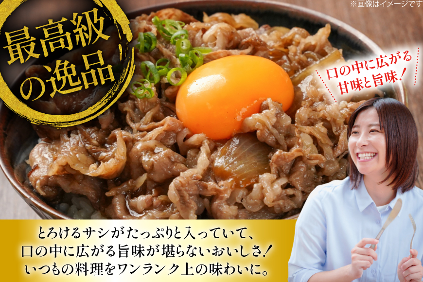 和牛 切り落とし 霜降り肉 定期便 長崎和牛 切り落し 500g 12回 総計6kg [大川ストアー 長崎県 東彼杵町 hs42bag580074] 赤身 すき焼き 肉 しゃぶしゃぶ 牛肉