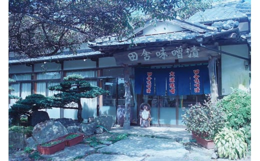 味噌 麦みそ 2kg 合わせみそ 900g [大渡商店 長崎県 東彼杵町 hs42bag590006] 減塩 手作り みそ ミソ 麦 合わせ味噌 詰め合わせ セット 調味料