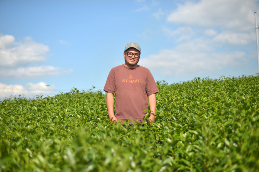 緑茶 長崎 そのぎ茶 2種セット 特上 夕凪 3袋・極上 風凪 2袋 各90g 飲み比べ 詰め合わせ [中山茶園 長崎県 東彼杵町 hs42bag610002] 茶 お茶