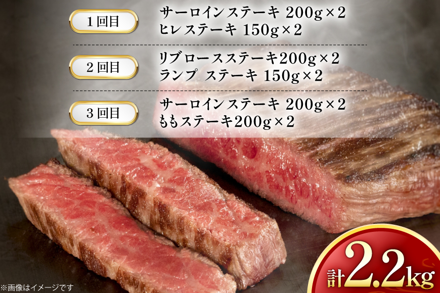 牛肉 和牛 定期便 長崎和牛 ステーキ 食べ比べ 5種 3回 総計2.2kg [黒牛 長崎県 東彼杵町 hs42bag750003] 赤身肉 赤身肉ステーキ 赤身ステーキ ヒレステーキ サーロインステーキ ランプ