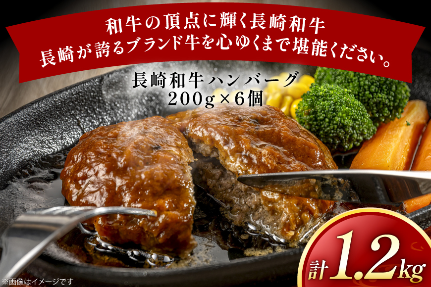 ハンバーグ 長崎和牛 100％ ハンバーグ (200g×6個) [黒牛 長崎県 東彼杵町 hs42bag750077] 牛肉100% 肉 お肉 おかず