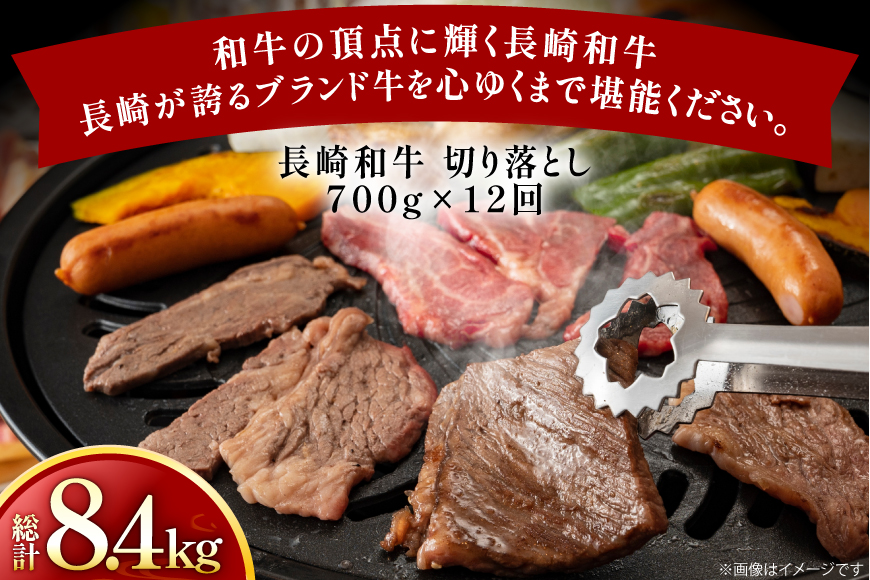 牛肉 和牛 定期便 長崎和牛 切り落とし 700g 12回 総計8.4kg [黒牛 長崎県 東彼杵町 hs42bag750079] 牛肉 バラ モモ もも 切り落とし牛肉 バラ モモ もも 切り落とし