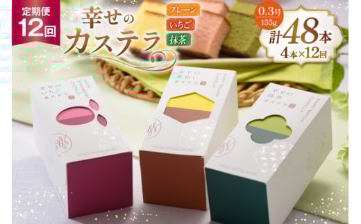 カステラ 幸せのカステラ 0.3号 155g 3種 セット プレーン2本 いちご1本 抹茶1本 計4本 12回 総計48本 詰め合わせ [長崎カステラセンター心泉堂 長崎県 東彼杵町 hs42bag180012] 和菓子 かすてら 長崎 お菓子 おやつ