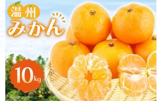 みかん 温州みかん 10kg 10キロ [彼杵の荘 長崎県 東彼杵町 hs42bag270045] ミカン 蜜柑