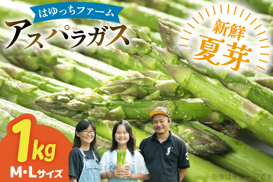アスパラ アスパラガス 夏芽アスパラガス 1kg M L サイズ混合 [はゆっちFARM 長崎県 東彼杵町 hs42bag360000] アスパラ あすぱら 新鮮 夏