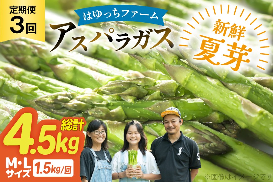 アスパラ アスパラガス 定期便 先行予約 夏芽アスパラガス 1.5kg M L サイズ混合 3回 計4.5kg [はゆっちFARM 長崎県 東彼杵町 hs42bag360004] アスパラ あすぱら 新鮮 夏