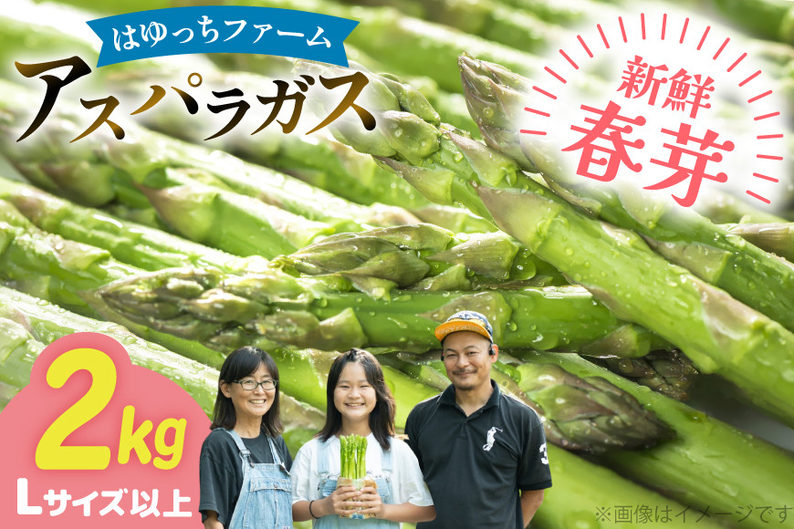 アスパラ アスパラガス 春芽アスパラガス 2kg L サイズ以上 [はゆっちFARM 長崎県 東彼杵町 hs42bag360015] アスパラ あすぱら 新鮮 春