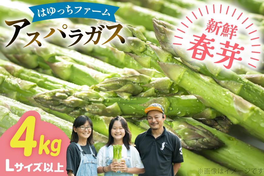 アスパラ アスパラガス 春芽アスパラガス 4kg L サイズ以上 [はゆっちFARM 長崎県 東彼杵町 hs42bag360019] アスパラ あすぱら 新鮮 春