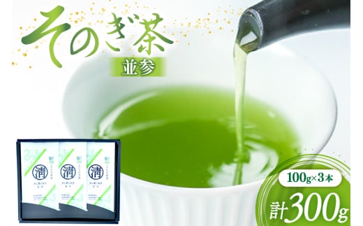 茶 緑茶 そのぎ茶 (並参) 100g 3袋入り 総計300g [まるせい酒井製茶 長崎県 東彼杵町 hs42bag370004] 茶 ちゃ お茶 おちゃ 緑茶 りょくちゃ 日本茶 茶葉