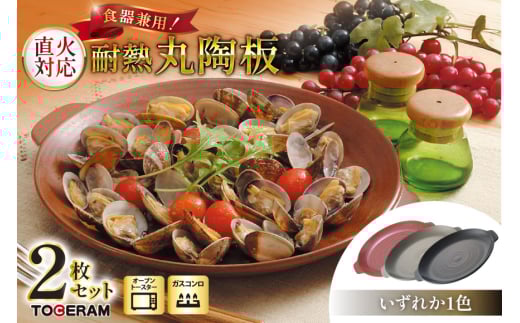 食器兼用 耐熱 丸陶板25cm 2枚セット [トーセラム 長崎県 東彼杵町 hs42bag480020] 耐熱陶器 プレート キャンプ アウトドア バーベキュー キッチン用品 日本製