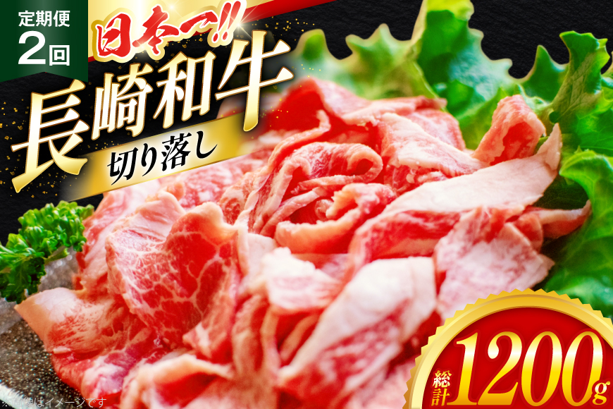 牛肉 切り落とし 定期便 長崎和牛 切り落し600g 2回 総計1200g [大川ストアー 長崎県 東彼杵町 hs42bag580011] 肉 牛肉 和牛 焼肉