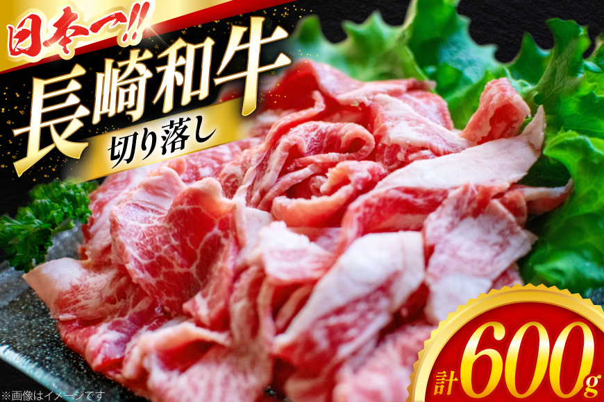 牛肉 切り落とし 長崎和牛 切り落し600g [大川ストアー 長崎県 東彼杵町 hs42bag580012] 肉 牛肉 和牛 焼肉