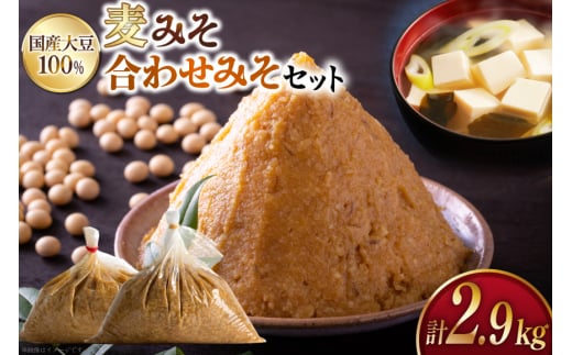 味噌 麦みそ 2kg 合わせみそ 900g [大渡商店 長崎県 東彼杵町 hs42bag590006] 減塩 手作り みそ ミソ 麦 合わせ味噌 詰め合わせ セット 調味料