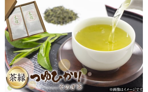 そのぎ茶 緑茶 そのぎ茶《茶縁》「つゆひかり」100g 2袋入 [東坂こくまる商店 長崎県 東彼杵町 hs42bag700001] 茶 お茶 緑茶 日本茶 茶葉 そのぎ茶