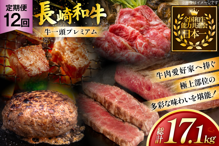 牛肉 和牛 牛一頭プレミアム定期便「長崎和牛をまるごと堪能」 12回 総計17.1kg [黒牛 長崎県 東彼杵町 hs42bag750073] しゃぶしゃぶ すき焼き スライス 肉 お肉 牛肉